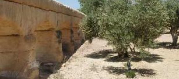  قطعة أرض في Molina de Segura, Spain 7000متر مربع رقم 182496 7