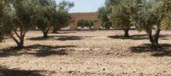  قطعة أرض في Molina de Segura, Spain 7000متر مربع رقم 182496 6