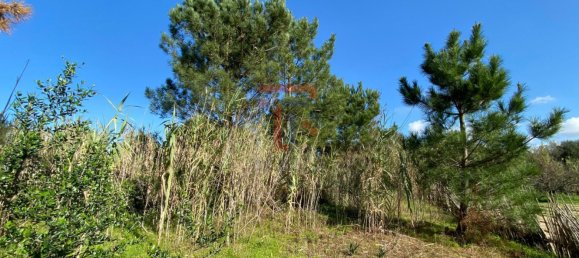 Terreno en Sintra, Portugal 1300 m² No. 151760 5