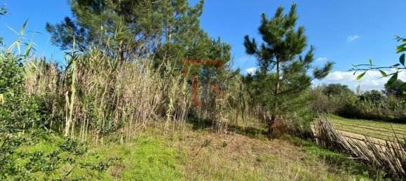 Terreno en Sintra, Portugal 1300 m² No. 151760 6