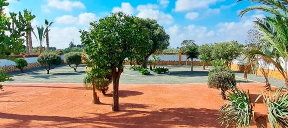 3 bedrooms House in Catral, Spain No. 185169 19