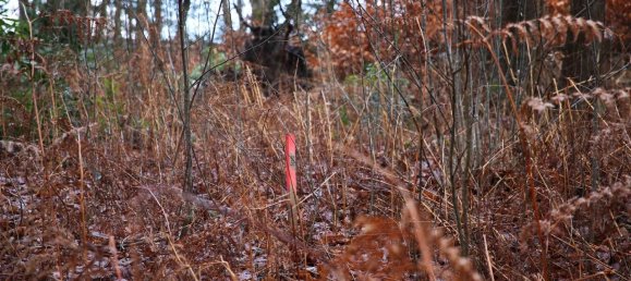  Land in Harburg, Germany No. 23870 5