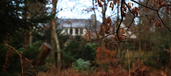  Land in Harburg, Germany No. 23870 4