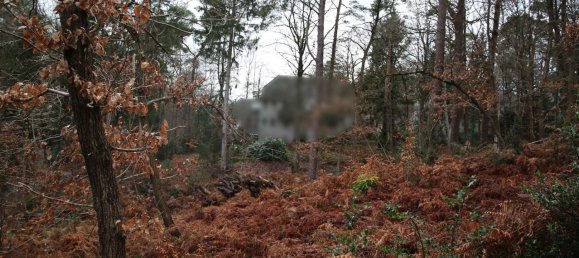  Land in Harburg, Germany No. 23870 3