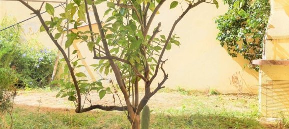 2 rooms Apartment in Montesilvano, Italy No. 27650 7