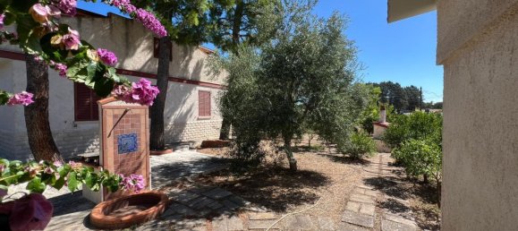 Вилла с 4 спальнями в Трани, Италия № 321162 22