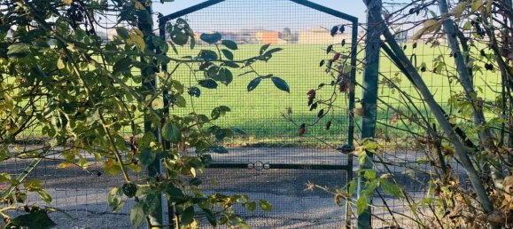 5 rooms House in Isola Sant'Antonio, Italy No. 153699 20