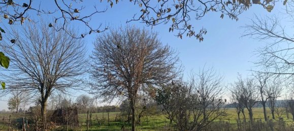 5 rooms House in Isola Sant'Antonio, Italy No. 153699 22