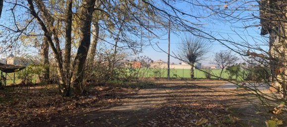 5 rooms House in Isola Sant'Antonio, Italy No. 153699 23