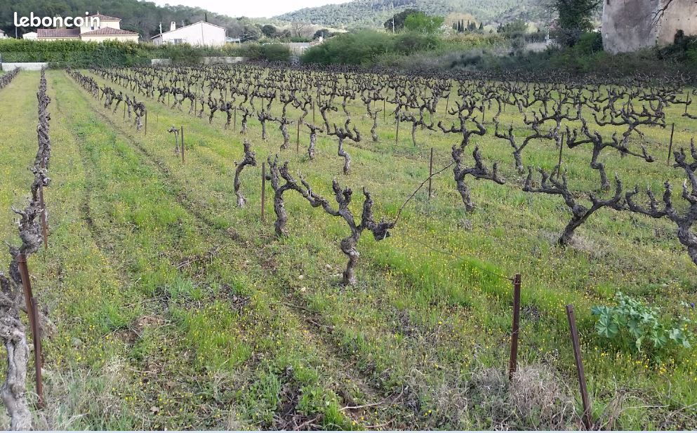 3 bedrooms Land in Pujaut, France No. 107702