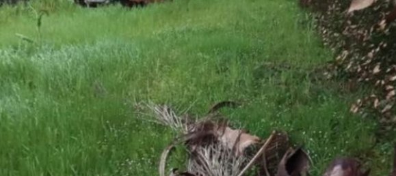 7 rooms Apartment in Latina, Italy No. 213098 25