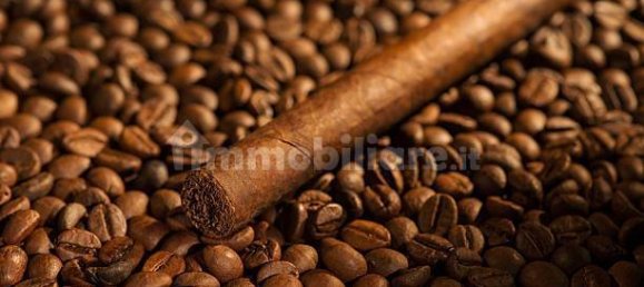 2غرفة عقار تجاري في Albenga, Italy رقم 189163 33