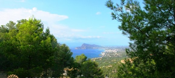 9586m² Land in Altea, Spain No. 1536 6