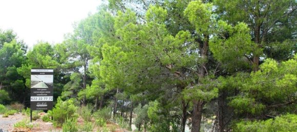 9586m² Land in Altea, Spain No. 1536 4