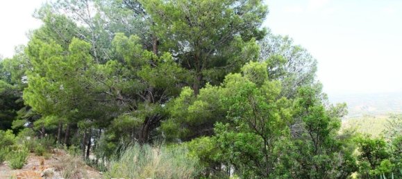 9586m² Land in Altea, Spain No. 1536 2