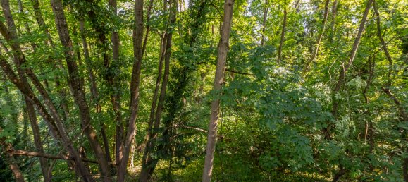  Land in Stuttgart, Germany No. 220650 2