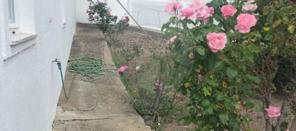  بناية في Avis, Portugal 430متر مربع رقم 66628 39