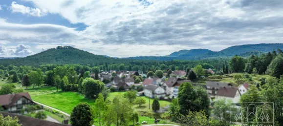 Таунхаус с 4 спальнями в Юго-западный Пфальц, Германия № 226838 12