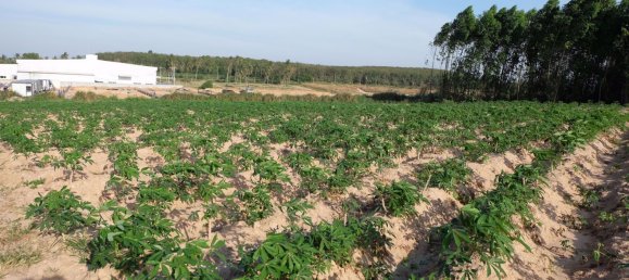  Commercial property in Pattaya, Thailand No. 1869 12