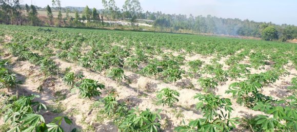  Commercial property in Pattaya, Thailand No. 1869 4