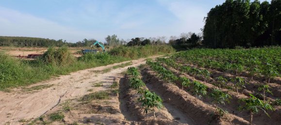  Commercial property in Pattaya, Thailand No. 1869 14