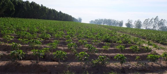  Commercial property in Pattaya, Thailand No. 1869 6