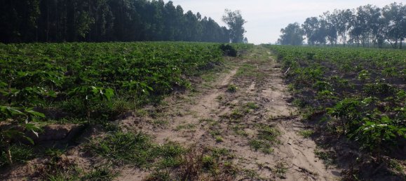  Commercial property in Pattaya, Thailand No. 1869 9