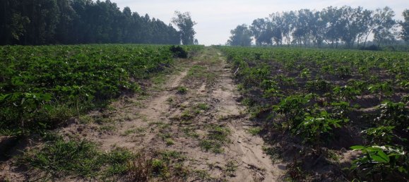  Commercial property in Pattaya, Thailand No. 1869 11