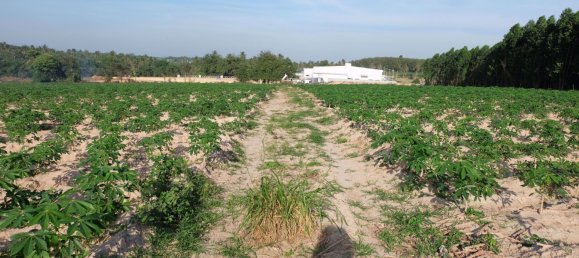  Commercial property in Pattaya, Thailand No. 1869 7