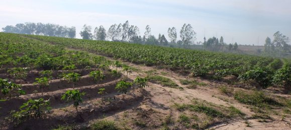  Commercial property in Pattaya, Thailand No. 1869 5