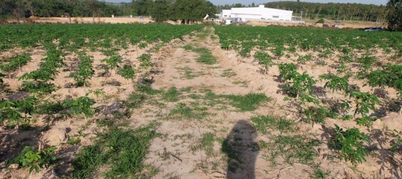  Commercial property in Pattaya, Thailand No. 1869 10