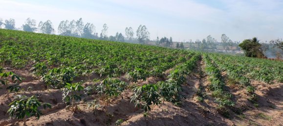  Commercial property in Pattaya, Thailand No. 1869 3