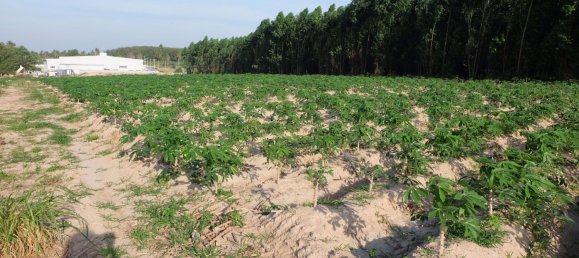  Commercial property in Pattaya, Thailand No. 1869 8