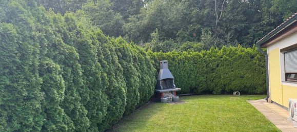 2-Zimmer Bungalow in Bad Fischau-Brunn, Austria, Nr. 234710 12