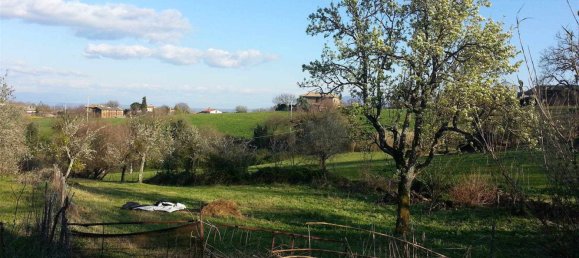 2 rooms House in Montefiascone, Italy No. 160770 11