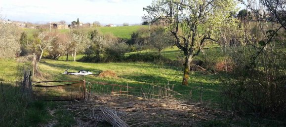 2 rooms House in Montefiascone, Italy No. 160770 10
