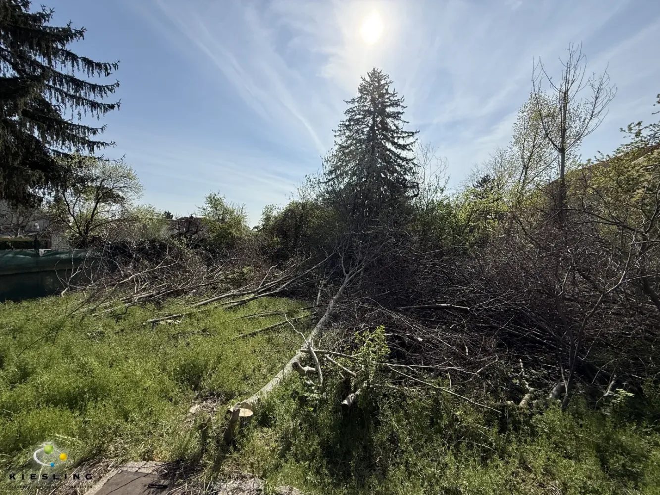  قطعة أرض في Perchtoldsdorf, Austria 1000متر مربع رقم 166315