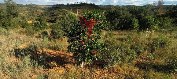 112000m² Land in Silves, Portugal No. 67253 18