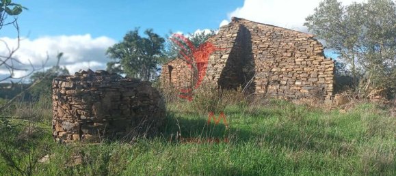 112000m² Land in Silves, Portugal No. 67253 2