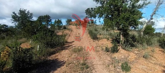 112000m² Land in Silves, Portugal No. 67253 5