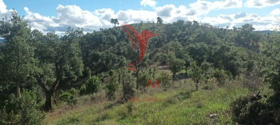 112000m² Land in Silves, Portugal No. 67253 20