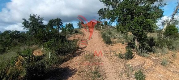 112000m² Land in Silves, Portugal No. 67253 4