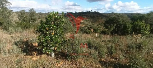 112000m² Land in Silves, Portugal No. 67253 19