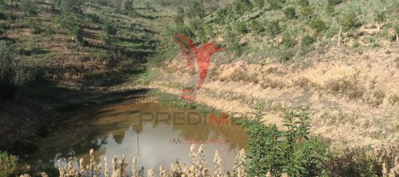 112000m² Land in Silves, Portugal No. 67253 7