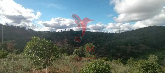 112000m² Land in Silves, Portugal No. 67253 8