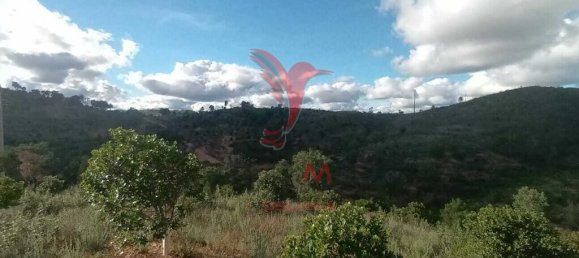 112000m² Land in Silves, Portugal No. 67253 10