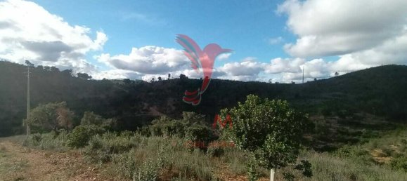 112000m² Land in Silves, Portugal No. 67253 11