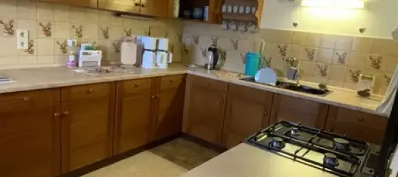 Таунхаус с 4 комнатами в Зале-Орла, Германия № 177734 5