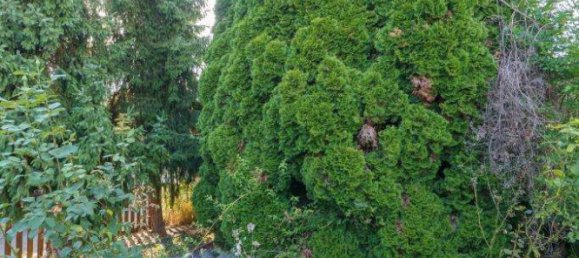 4غرفة تاون هاوس في Furth, Germany رقم 244977 10