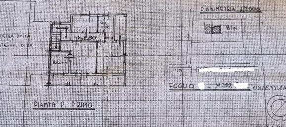 6 rooms Villa in Forte dei Marmi, Italy No. 36511 38